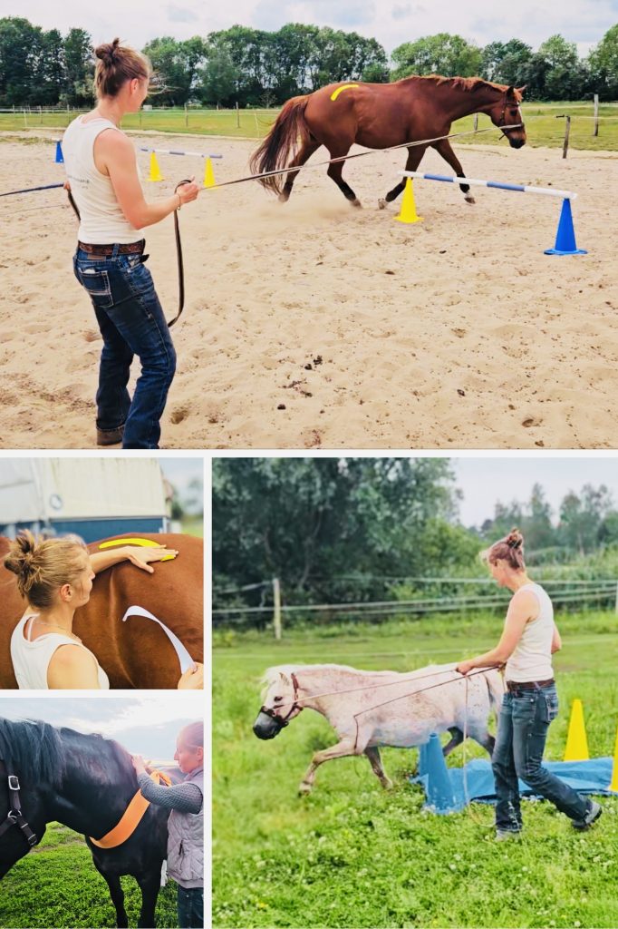 Bewegungstherapie mit Pferden und unterstützt durch Körperbändere oder kinesiologischen Tapes