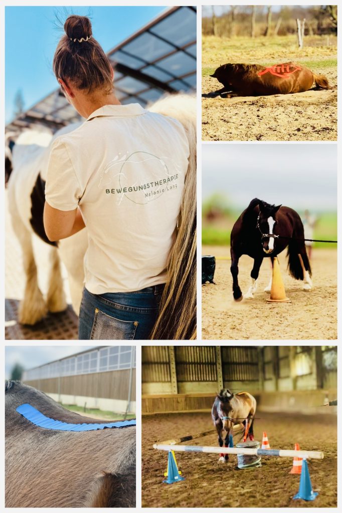 Impressionen vom Biegetraining und Tapeanlagen