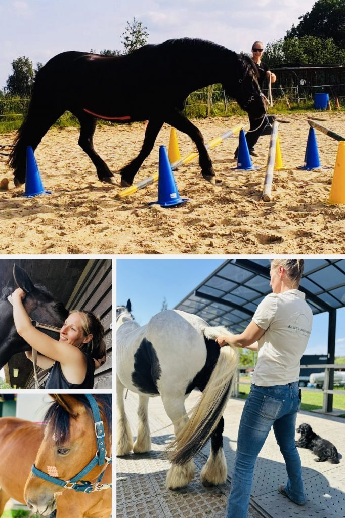 Impressionen von Melanie beim Behandeln und Trainieren