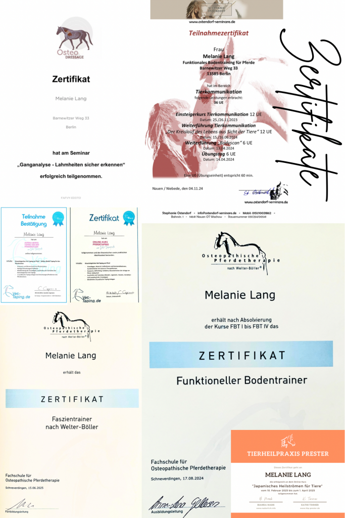 Bild der verschiedenen Zertifikate zu den Abschlüssen in Tierkommunikation, Ganganalayse, Kinesiologischem Taping, Japanischem Heilströmen sowie als funktionieller Boden- und Faszientrainer