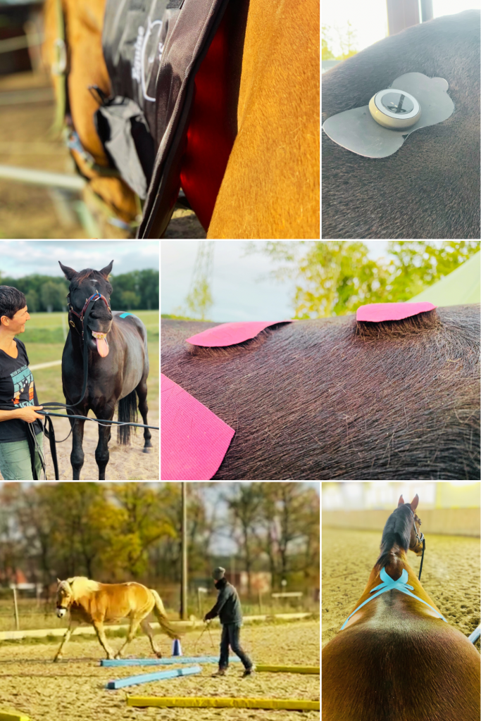 Bildcollage von Behandlung mit Infrarotlicht und TENS, sowie Training und Tapeanlagen